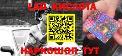 крисы Будённовск