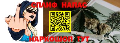 крисы Будённовск