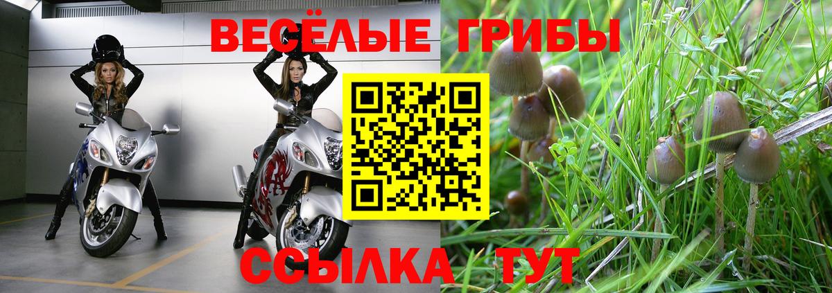 Псилоцибиновые грибы мухоморы  Вход с VPN  Россошь  Галлюциногенные грибы мицелий 
